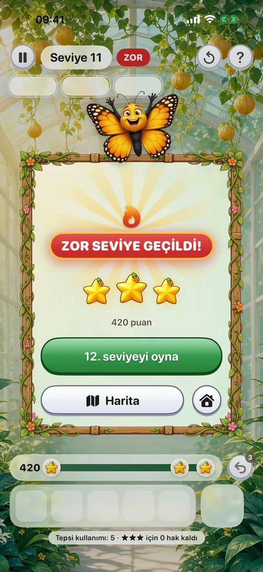 Bir ZOR seviye